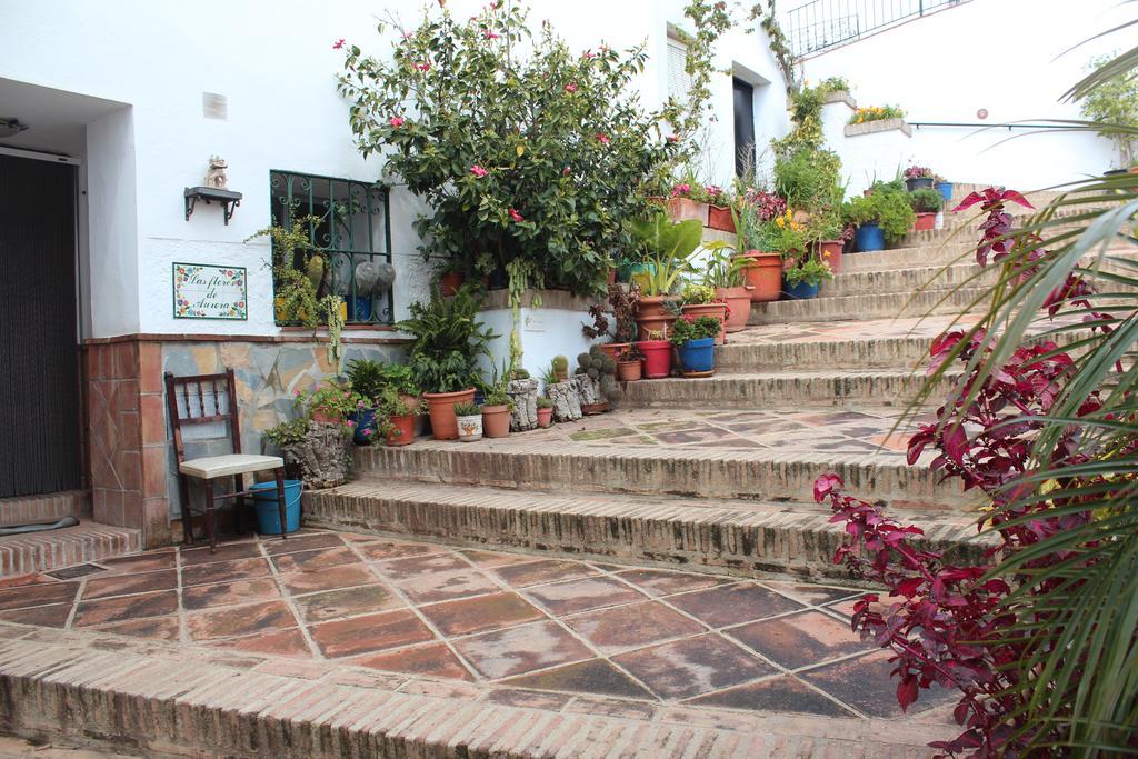 Casas Rurales Jardines Del Visir Genalguacil Exteriér fotografie