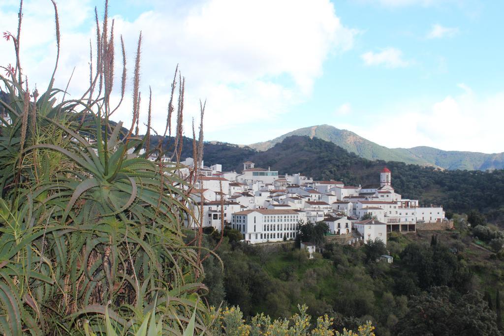 Casas Rurales Jardines Del Visir Genalguacil Exteriér fotografie