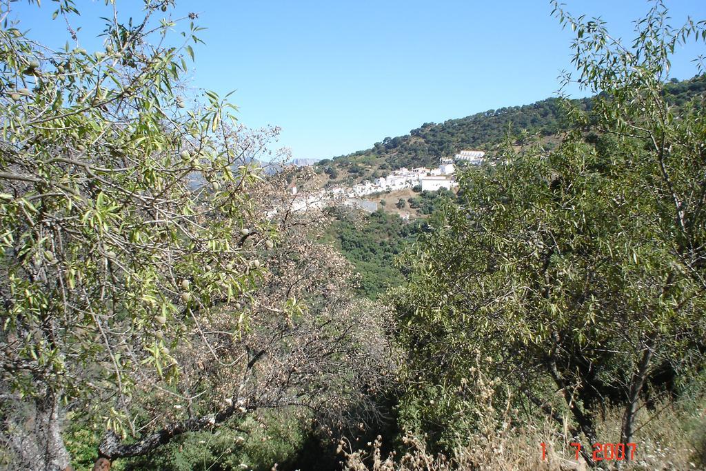 Casas Rurales Jardines Del Visir Genalguacil Exteriér fotografie