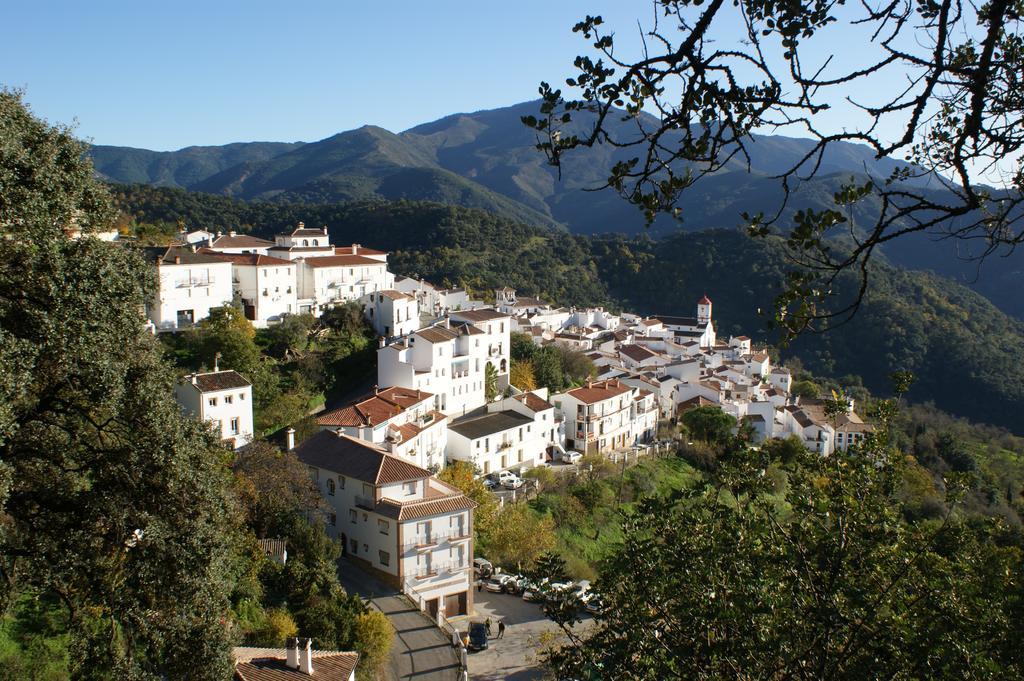 Casas Rurales Jardines Del Visir Genalguacil Exteriér fotografie