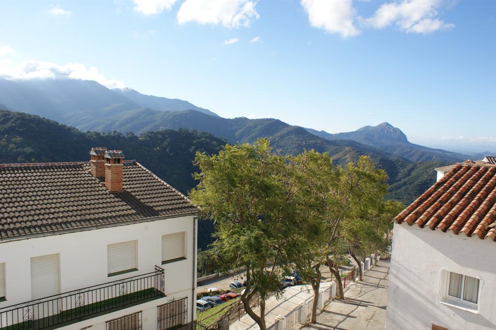 Casas Rurales Jardines Del Visir Genalguacil Exteriér fotografie