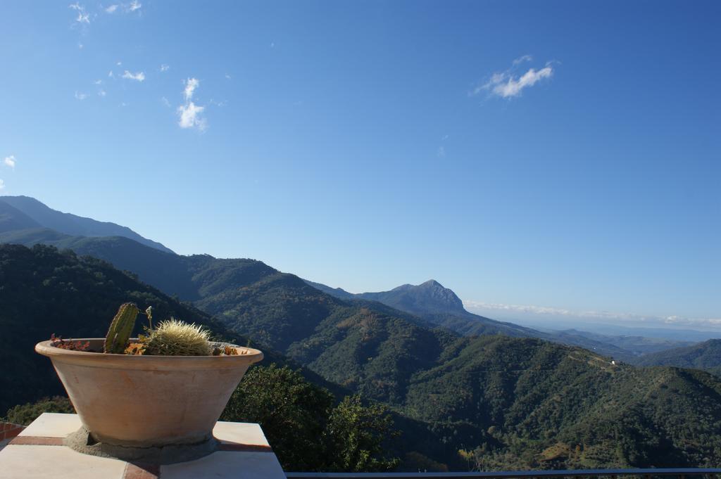 Casas Rurales Jardines Del Visir Genalguacil Exteriér fotografie