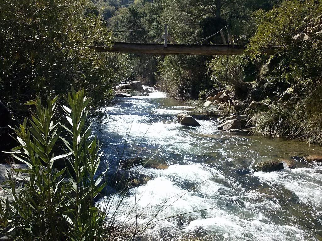 Casas Rurales Jardines Del Visir Genalguacil Exteriér fotografie